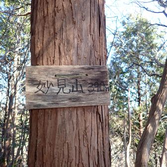 少しだけ休んで戻ります。下りは寸断された所ではなく北の林道を目指すと薄い踏み跡を見て慎重に林道に降りました。やれやれです。