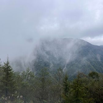 向こうには蛭ヶ岳
、、見えません😌