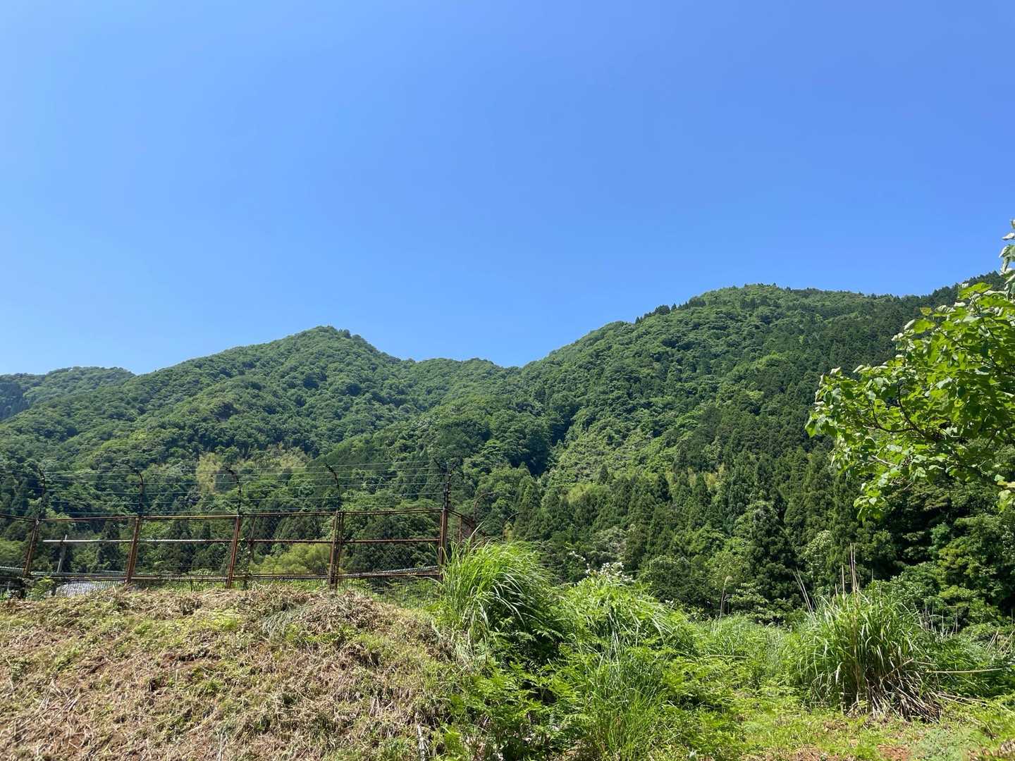 青葉山東峰と西峰、ここから見ると余り高く無いね😅