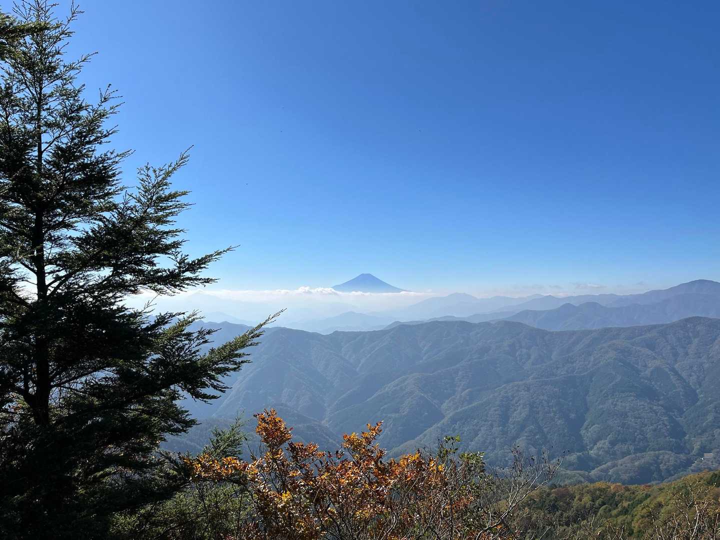 途中の展望ポイントから🗻