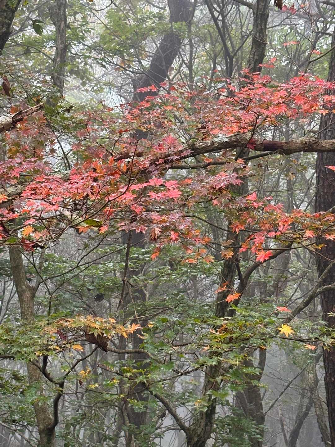 秋🍁が近づいている
