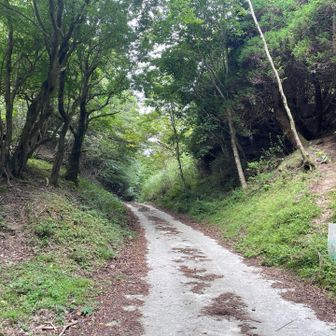 右が平家山、左が今日登る大黒山の取り付きらしい😉あとで行きます🎶