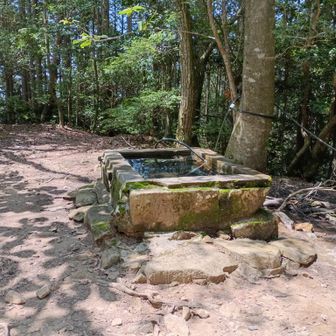 7合目上の水槽広場。
さすがに補給される水はチョロチョロだった。