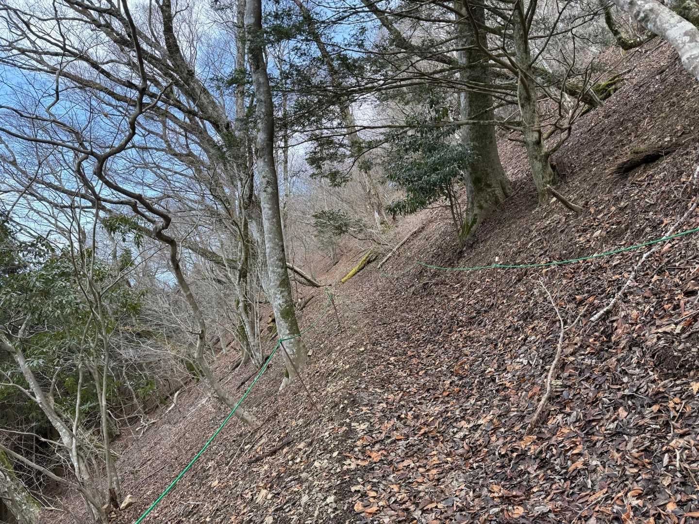 ホントに綺麗に整備されてる登山道