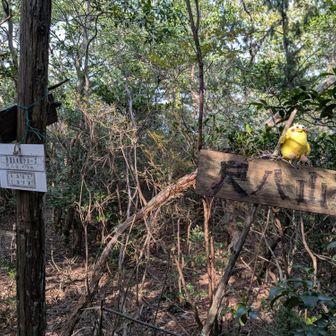 🚩⑤尺八山に登頂です🙌ヽ(=´▽`=)ﾉ
YAMAPの地図と山頂がズレていました。