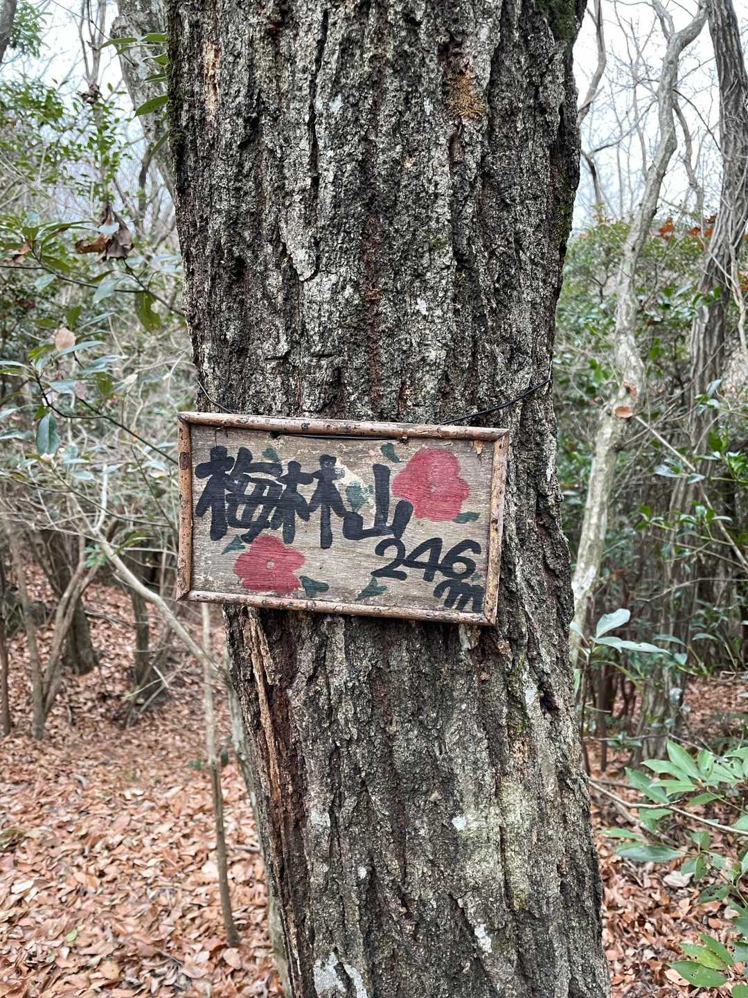 梅林林道からスタート▶️梅林山⛰️246m