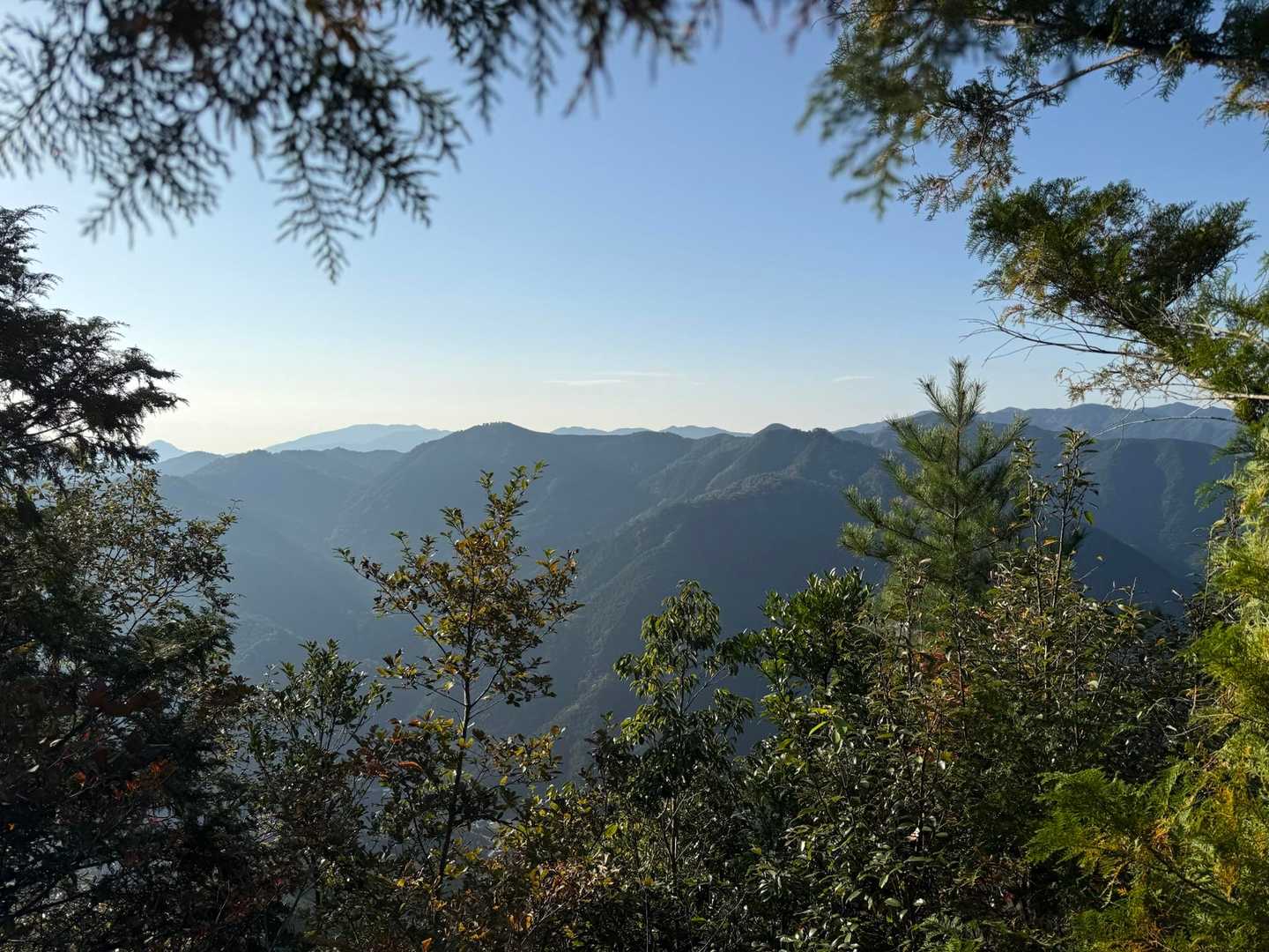 表参道入口-横倉山-横倉宮-平家穴-住吉神社-空池-安徳天 周回コースの写真