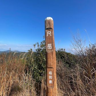 山頂ｷﾀ━(ﾟ∀ﾟ)━!!!!!!!
