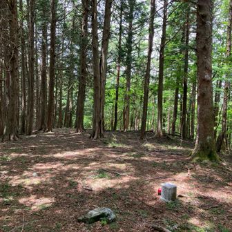 変わらない1200高地✨
ピストンで戻ります。