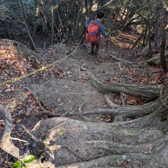 ザレ斜面は下るほうが神経を使う💦
ロープもあるので慎重に降りるけど、場合によっては駆け下りることも🏃