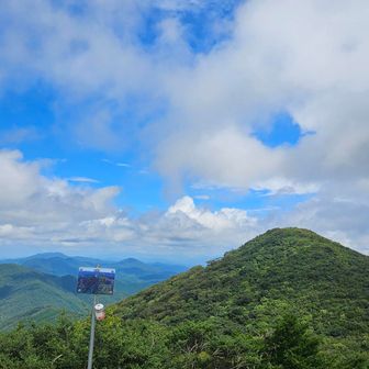 よいお天気になって、新しい出会いもありました。
終わりよければすべてよしで、朝の出来事気にせずにw