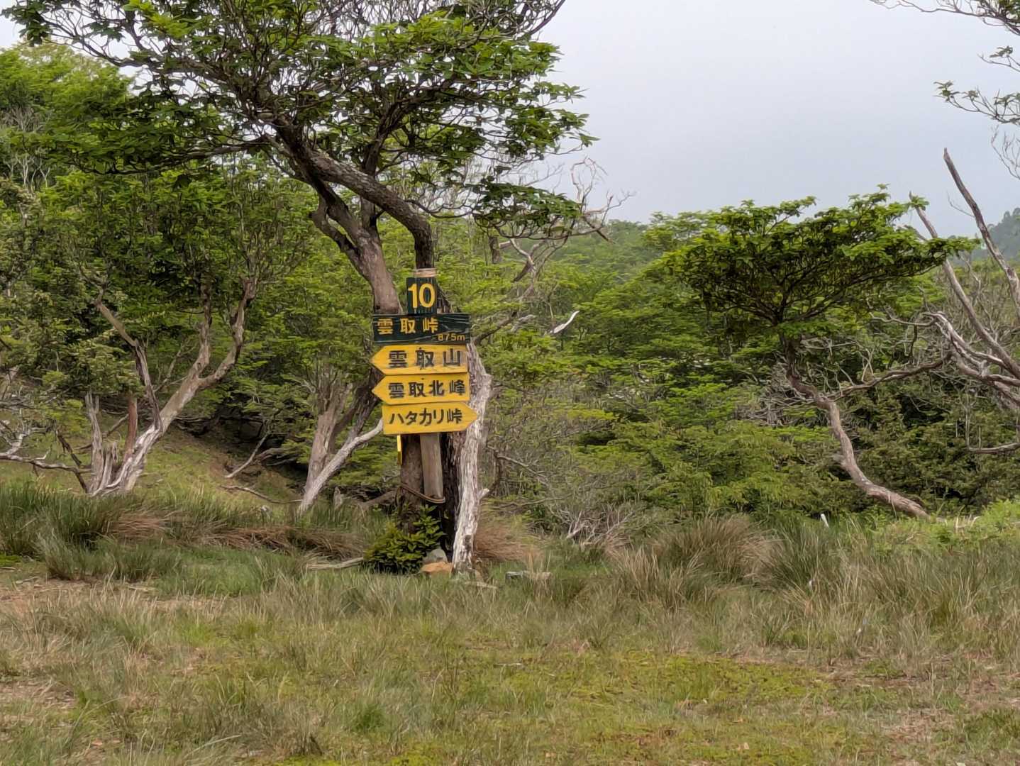 花脊高原前バス停-雲取峠-雲取山 往復コースの写真