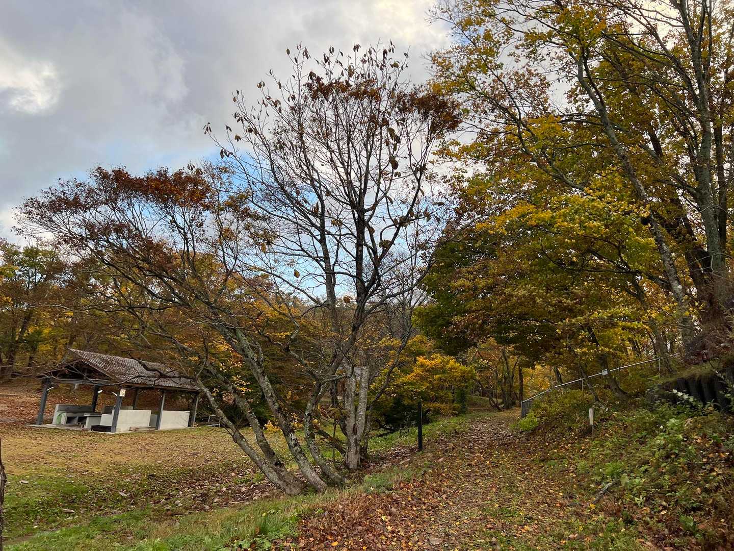 天童高原キャンプ場から登ります