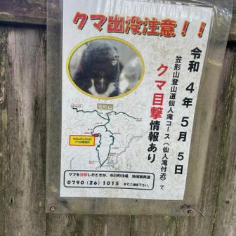 この出没場所、さっきのところに近い！