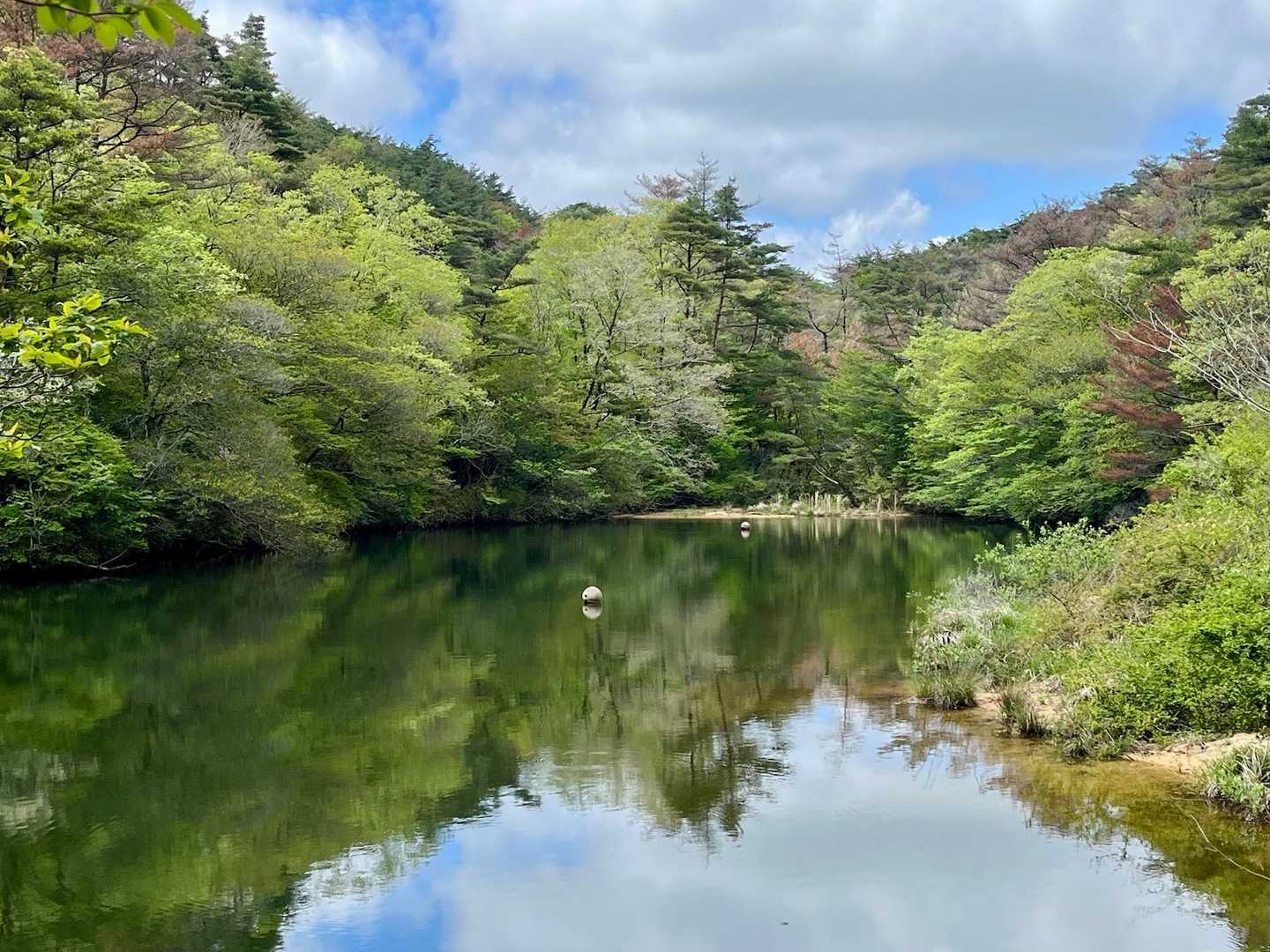 六甲駅-杣谷峠-穂高湖-シェール槍-石楠花山登山口-谷上駅 縦走コースの写真