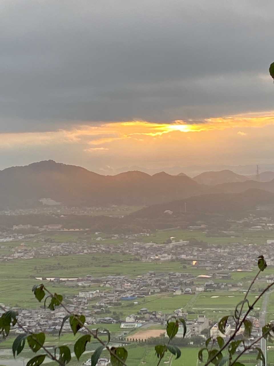 成井登山みち コースの写真