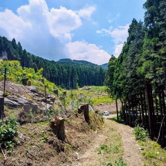 登山口まで帰って来ました😃