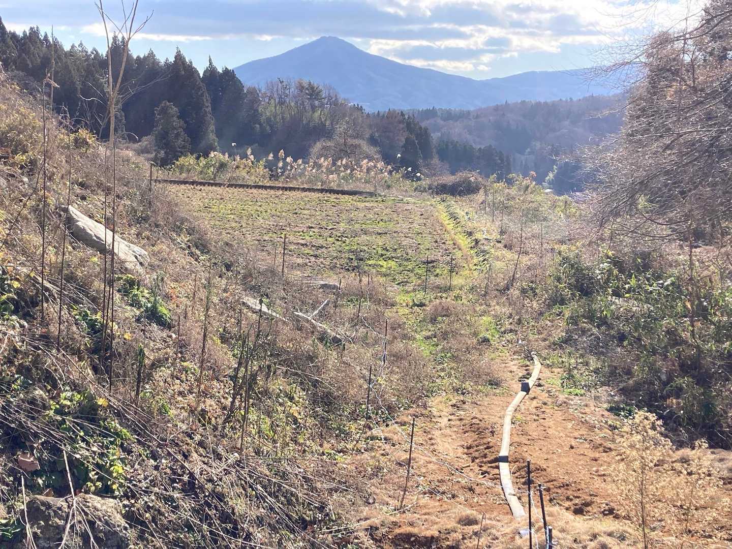 登山口近くで畑の向こうに蓬田岳が見える。