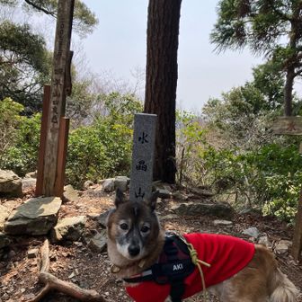 はいパチリ
キリっとだワン🐕