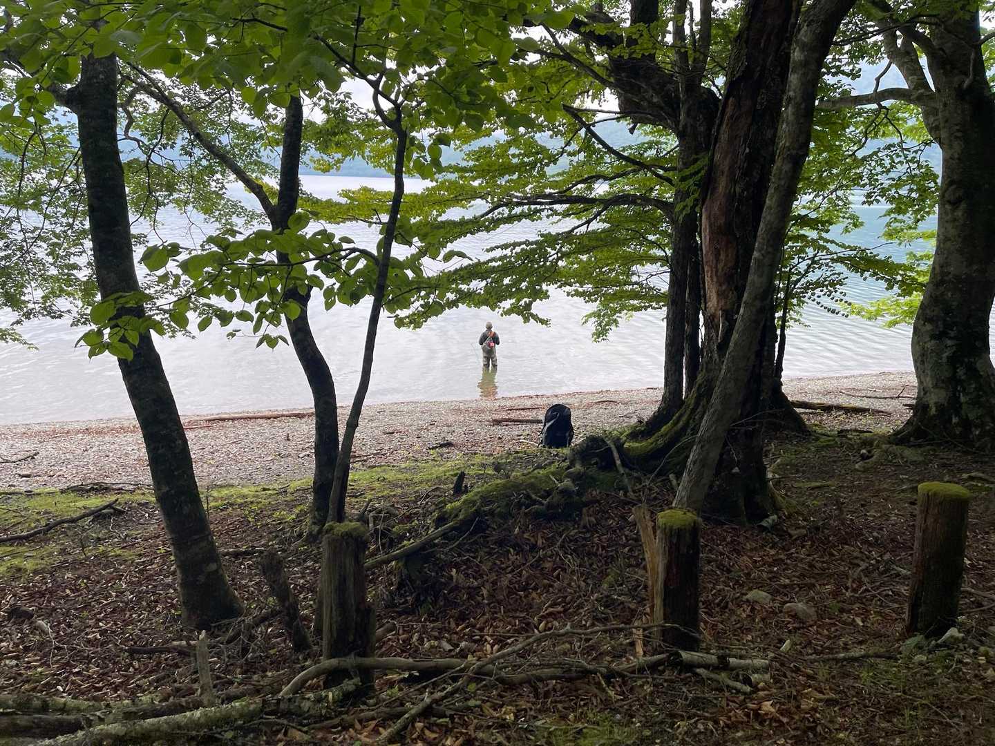 中禅寺湖にて釣り人数名。
歩いている方に『釣れますか？』と聞いてみたのですが『あまり、、、』とのお答え。
