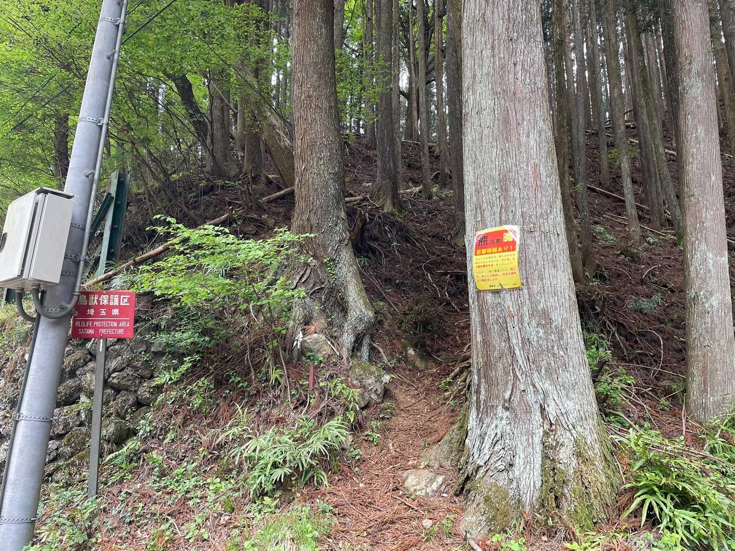 伊豆ヶ岳登山口-ツガの木台-長岩峠-伊豆ヶ岳-山伏峠 周回コースの写真