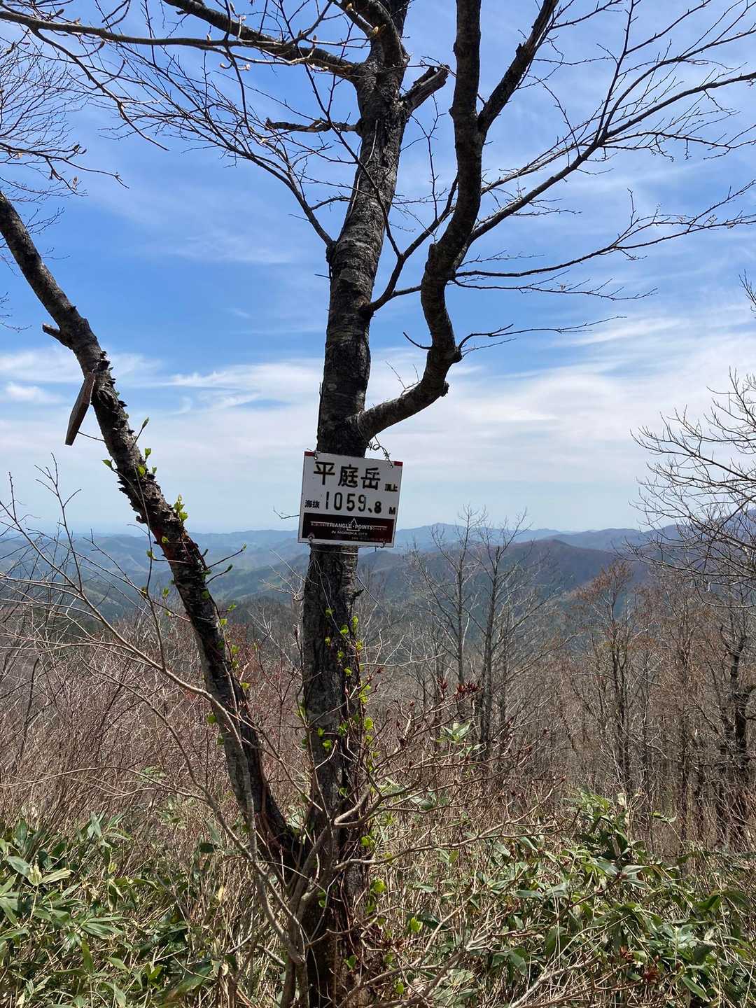 平庭峠-平庭岳 往復コースの写真