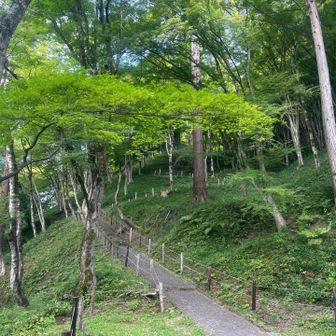 振り返ってみました！
緑で癒される🟢
