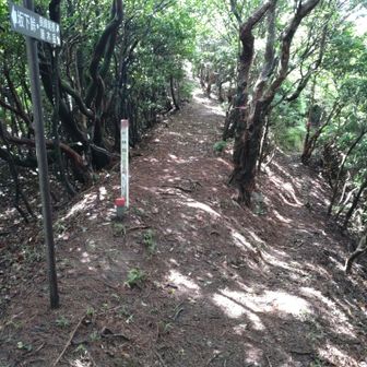 左に進むと、坂下宿に行けます😊