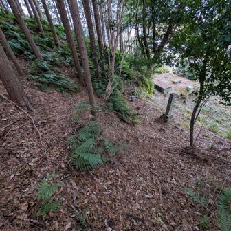 少しずらしてこっちから入れば良かった😅