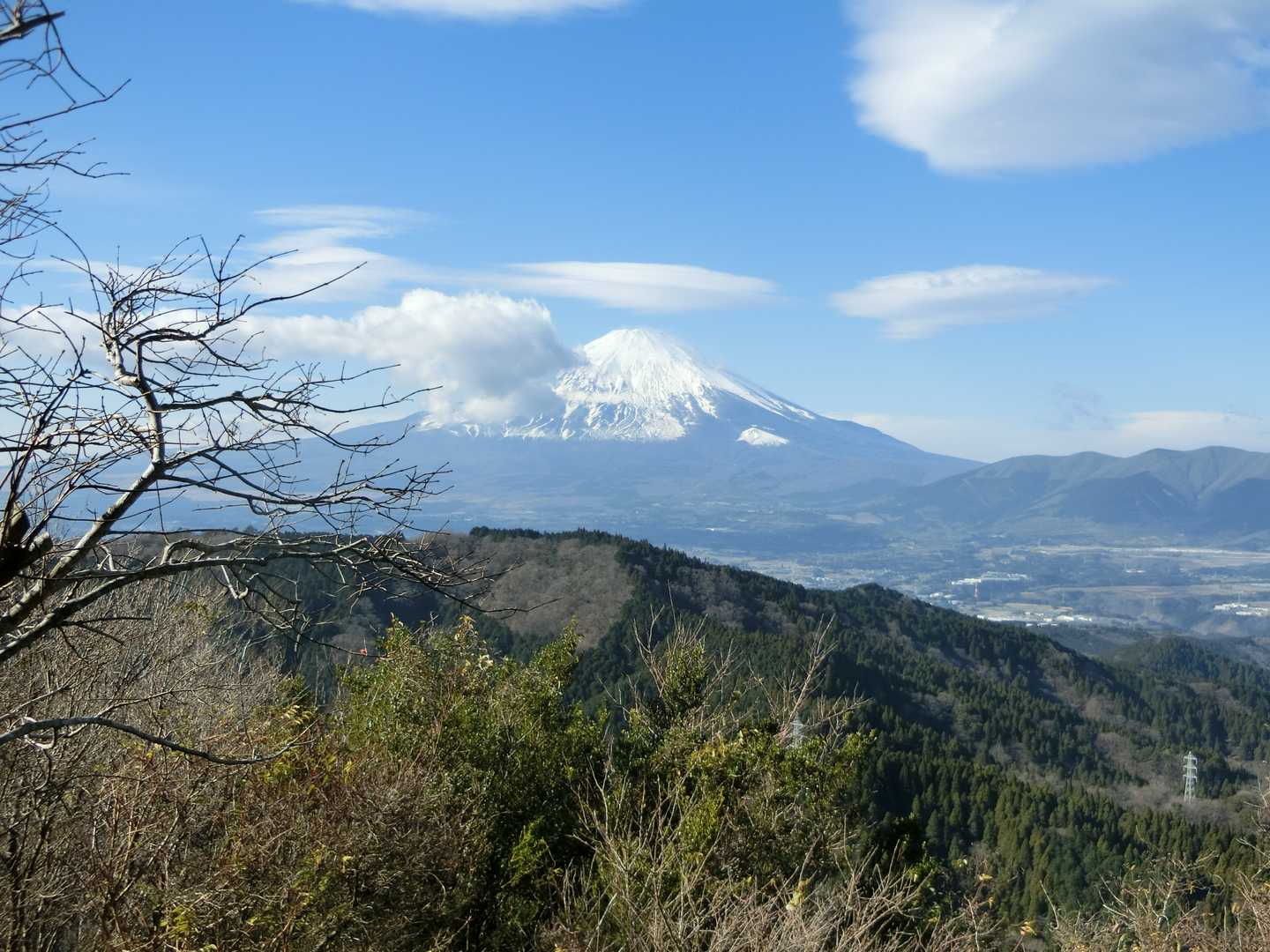 本日のベストショット