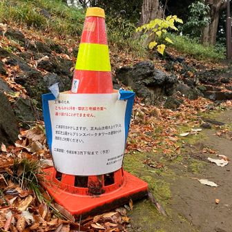 こちら側から唯一登れるみたいです。3月下旬まで