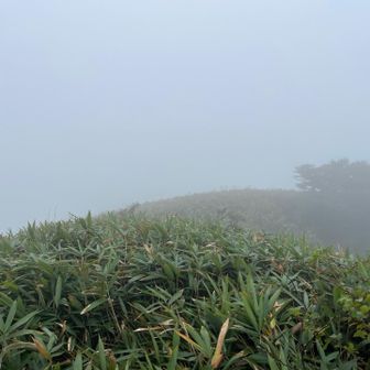 山頂の先は蒜山高原が見えると思うけど…