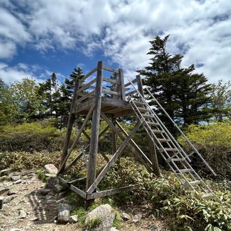 この展望やぐらを登ればきっと…見えなかった