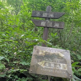 権現滝に向かう