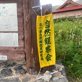 一服して、そろそろ下山しようとすると、無料のイベントが発生

お盆までの期間午前2回、午後2回（15時、16時）室堂周辺の植物についてレクチャー（約40分）してくださるとのこと（手続き不要）
講師の方が、大汝で同行したご婦人と姉妹という奇跡

20種類ほどの花について学ばせていただく
とても楽しく有意義な時間😄

そんなこんなで大分遅くなって17時に室堂を下山