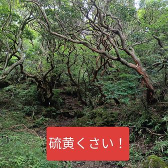 神山直前。硫黄の香りが！早く通り過ぎたほうが良さそう