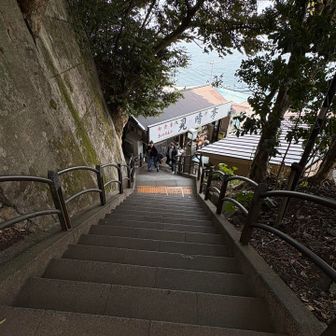 島の遊歩道は、海抜ゼロから神社まで上がって、温室までまた上がって、そこから海へ下っていく構造になっています
