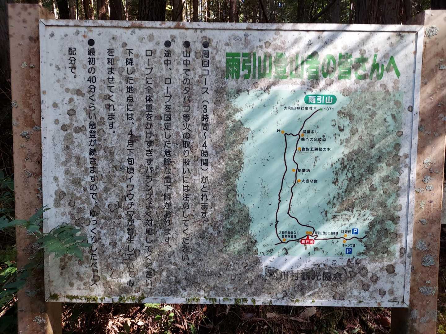 案内板
イワウチワの群生か🥰