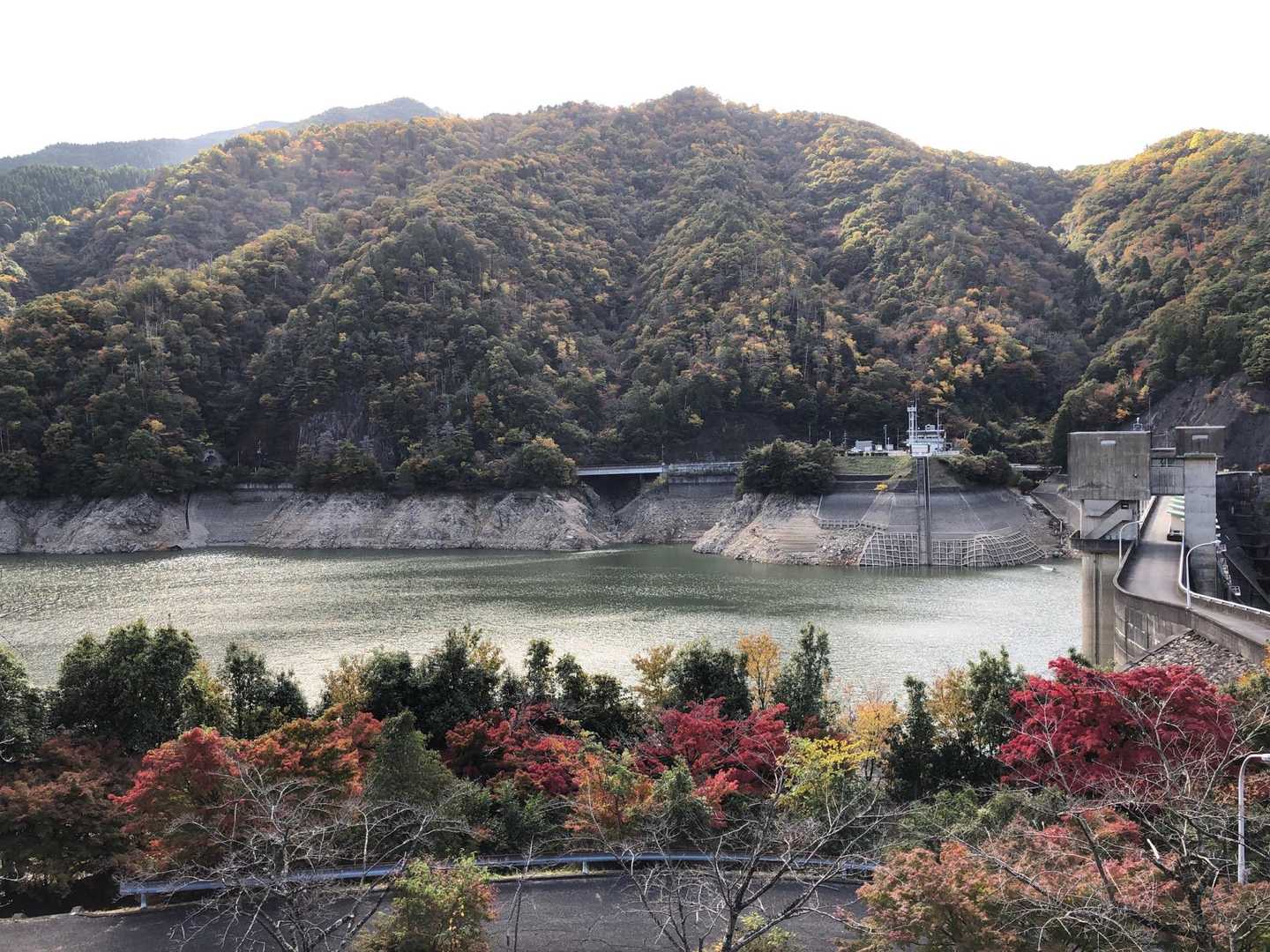 ダムの貯水量は半分以下かな…🦫