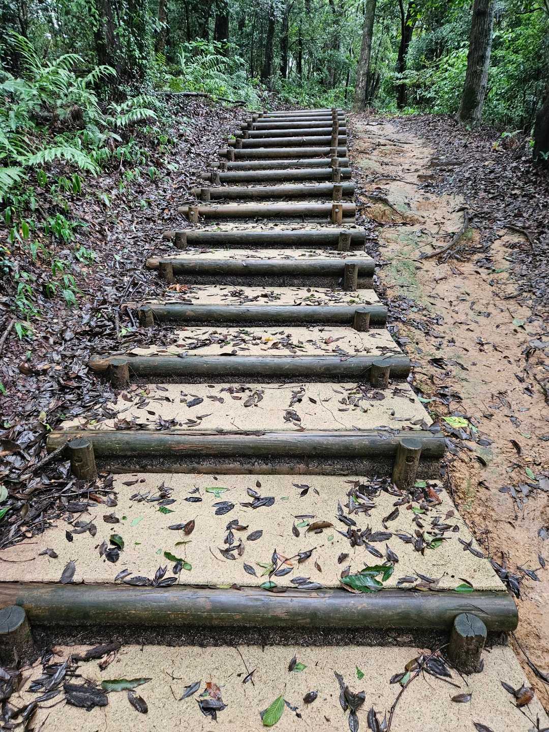 以前は階段の泥が流れて登りにくかったのですが、セメントしてあり、登りやすい
