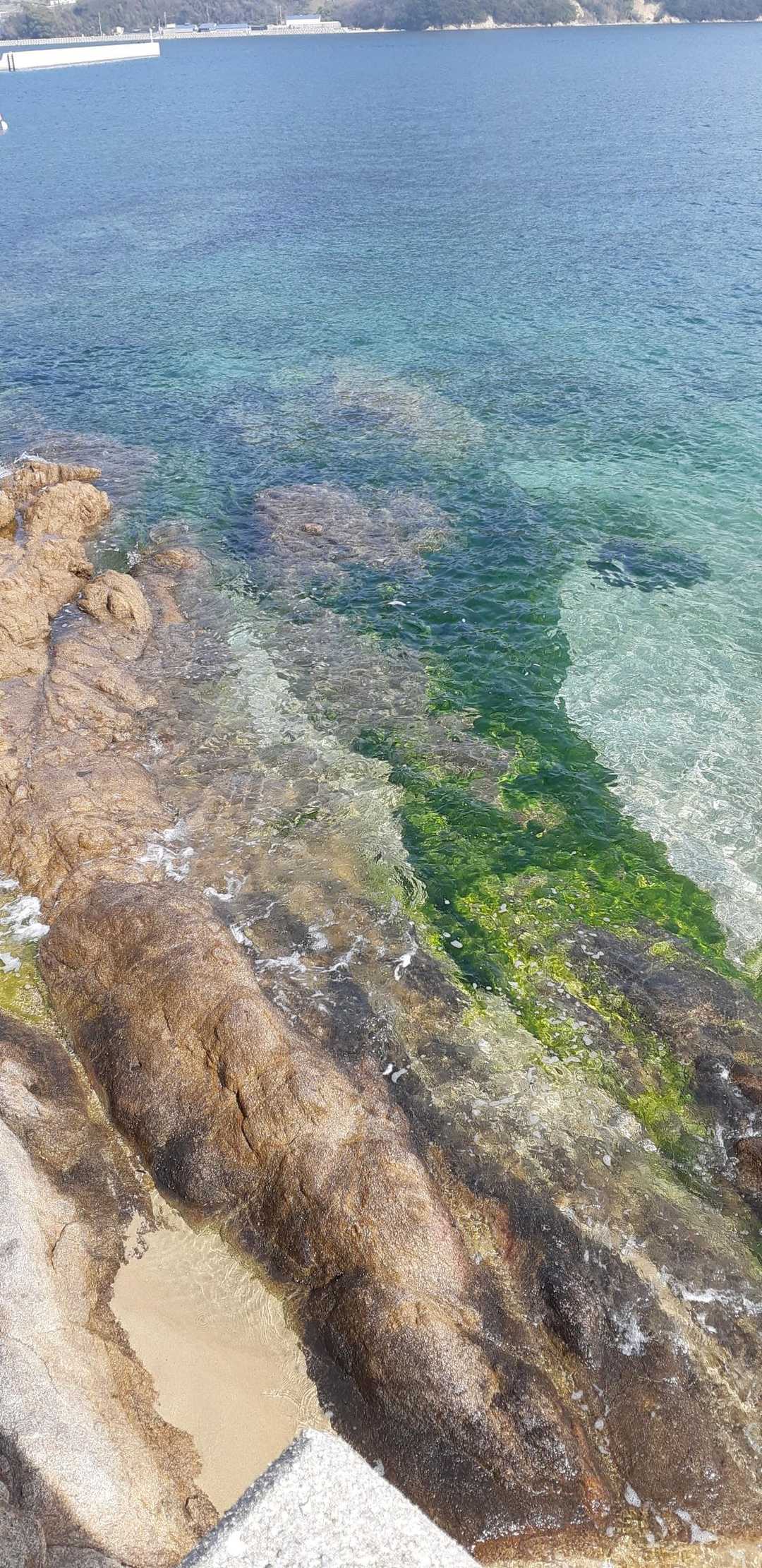 とても綺麗な海