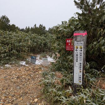 下山しています。三段山へは行けない。