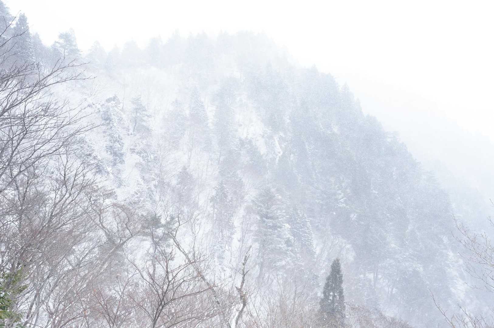 金糞峠-堂満岳 往復コースの写真