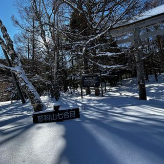 雪に埋まってます