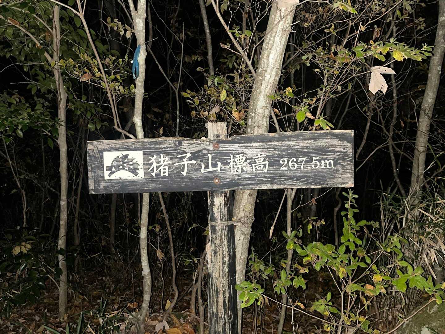 サクッと猪子山山頂到着✌️❗️