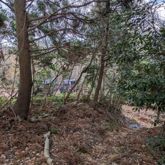 駐車スペースまで無事下山しました🚙