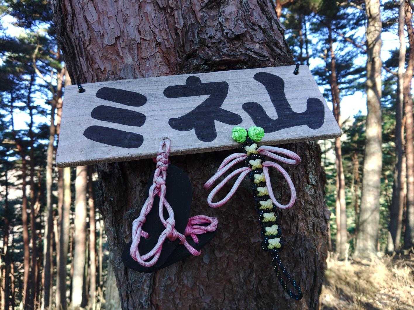 で、ほどなくミネ山登頂👍
ミネとくれば・・滑るのであえて言いません🙊