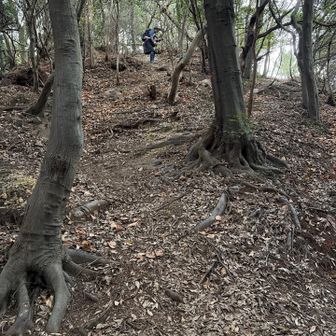 適当に二座目へと進んでみたら下山ルートと間違えて逆戻り　　滝です💦💦