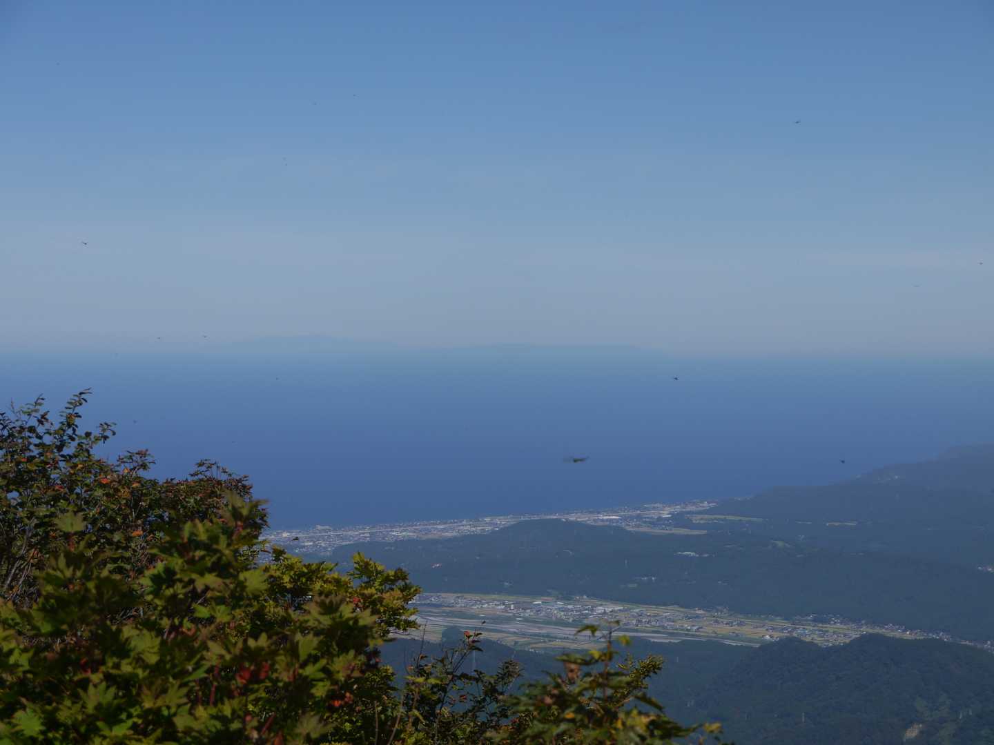 佐渡島が見えました