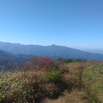 竜山